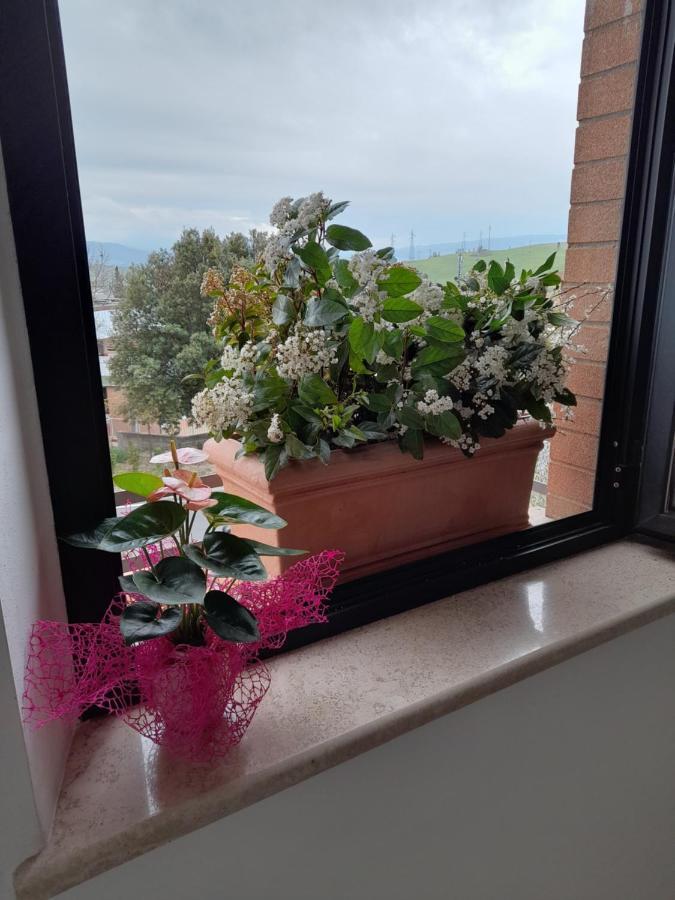 Un Passo Alla Volta Torrenieri 外观 照片